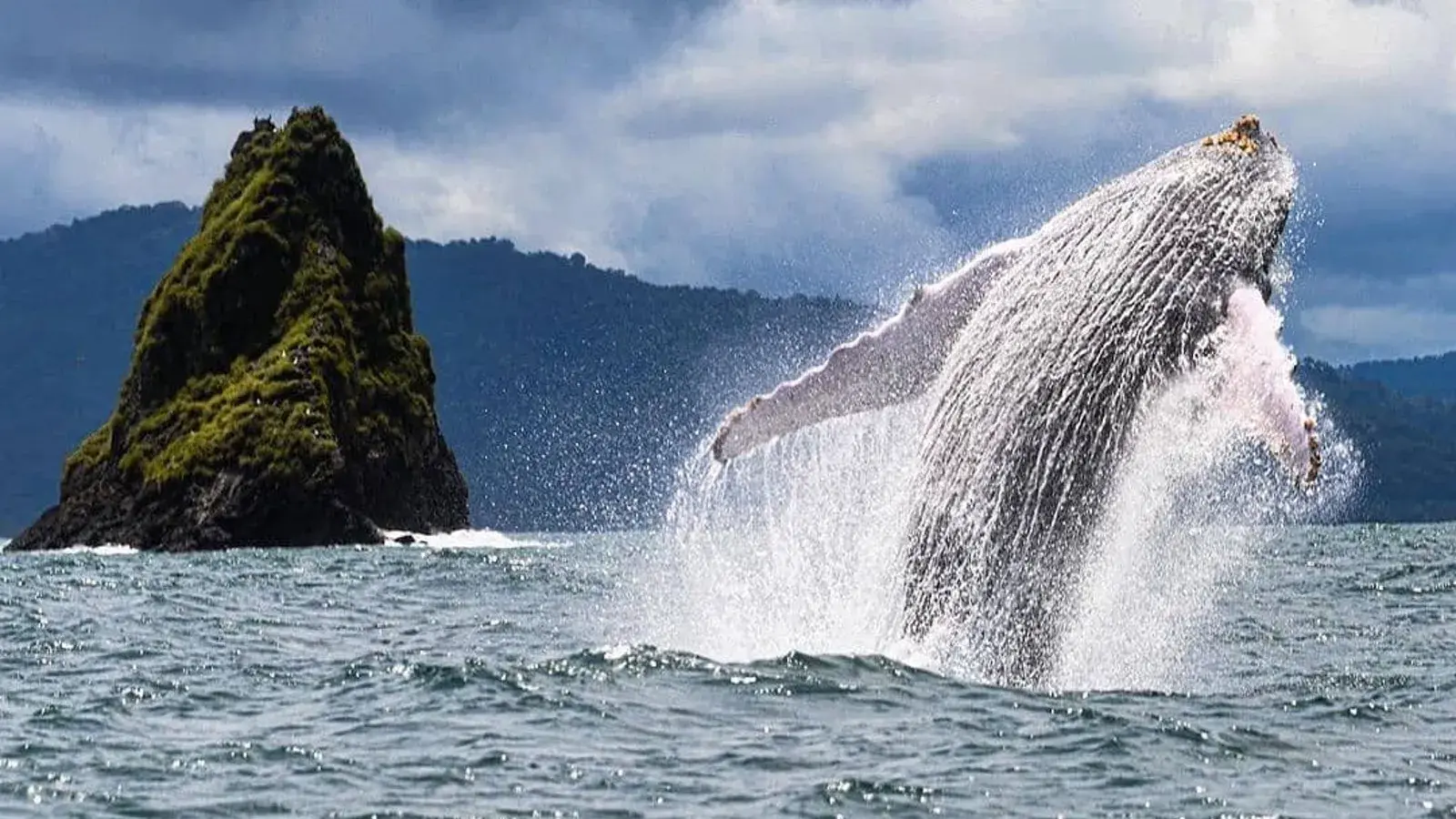 explora con laura, turismo, pasadias, transporte en ibagué, colombia