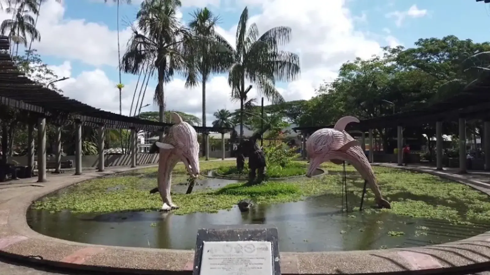 explora con laura, turismo, pasadias, transporte en ibagué, colombia