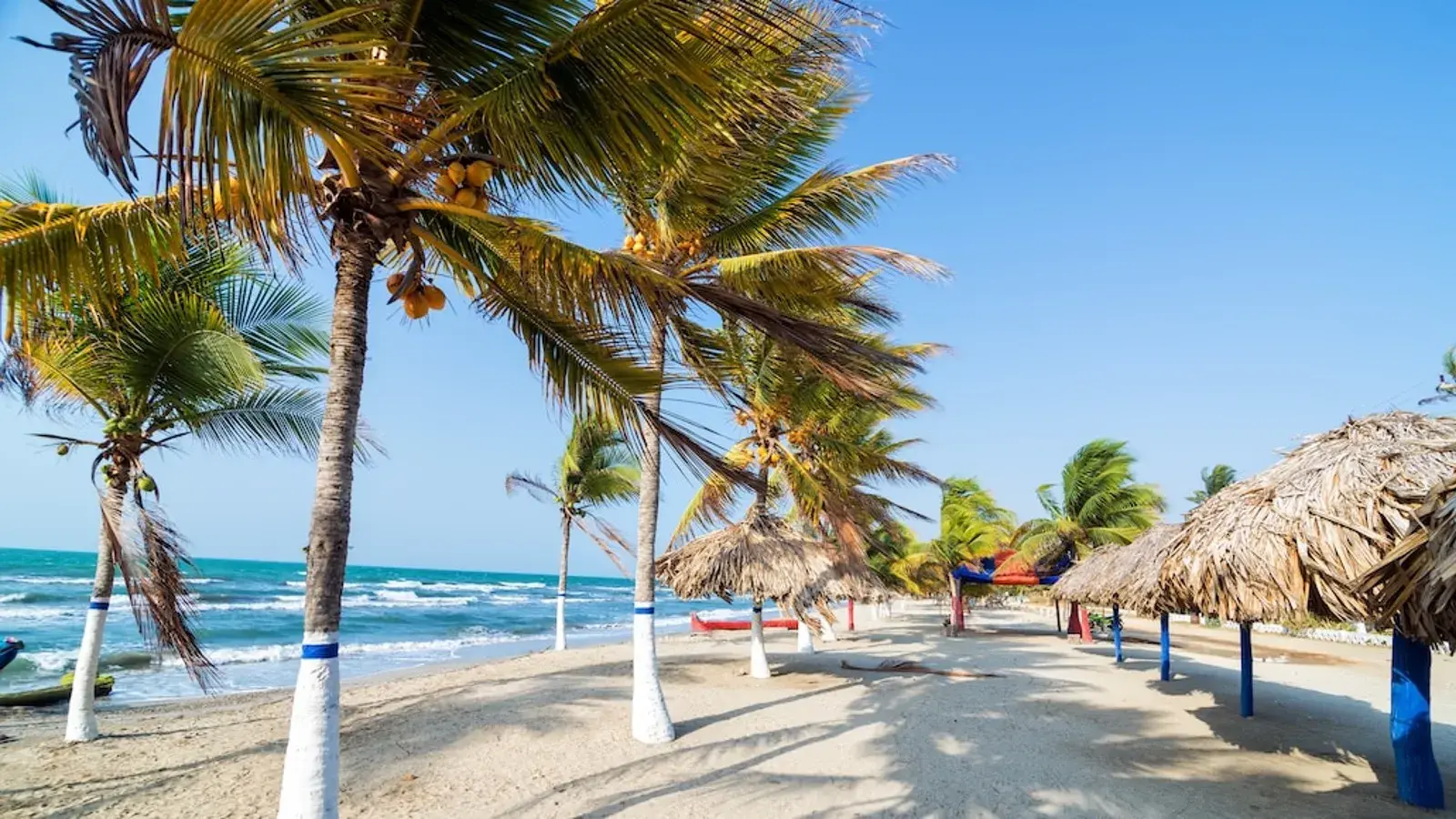 explora con laura, turismo, pasadias, transporte en ibagué, colombia