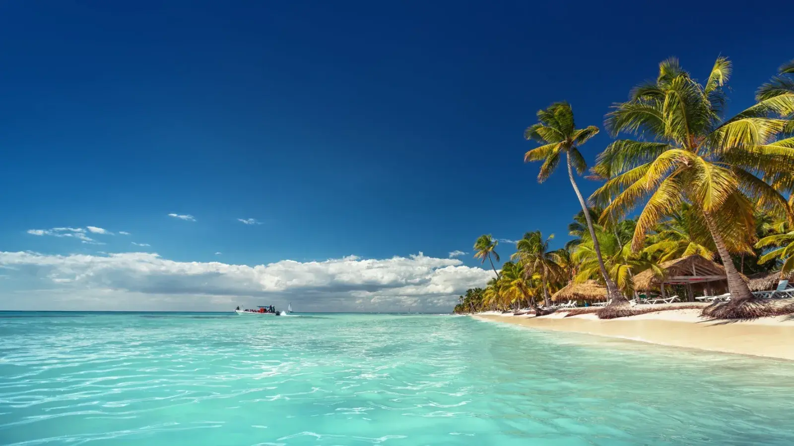 Explora con laura armenia, turismo, pasadias, transporte en ibagué, colombia