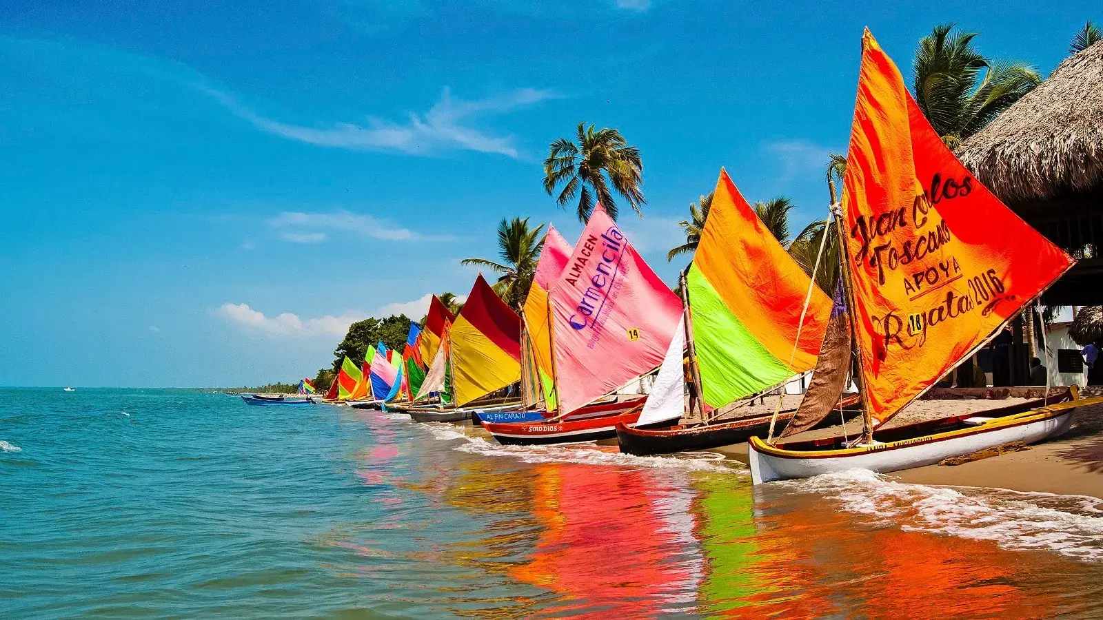 VIAJA CON LAURA, turismo, pasadias, transporte en ibagué, colombia