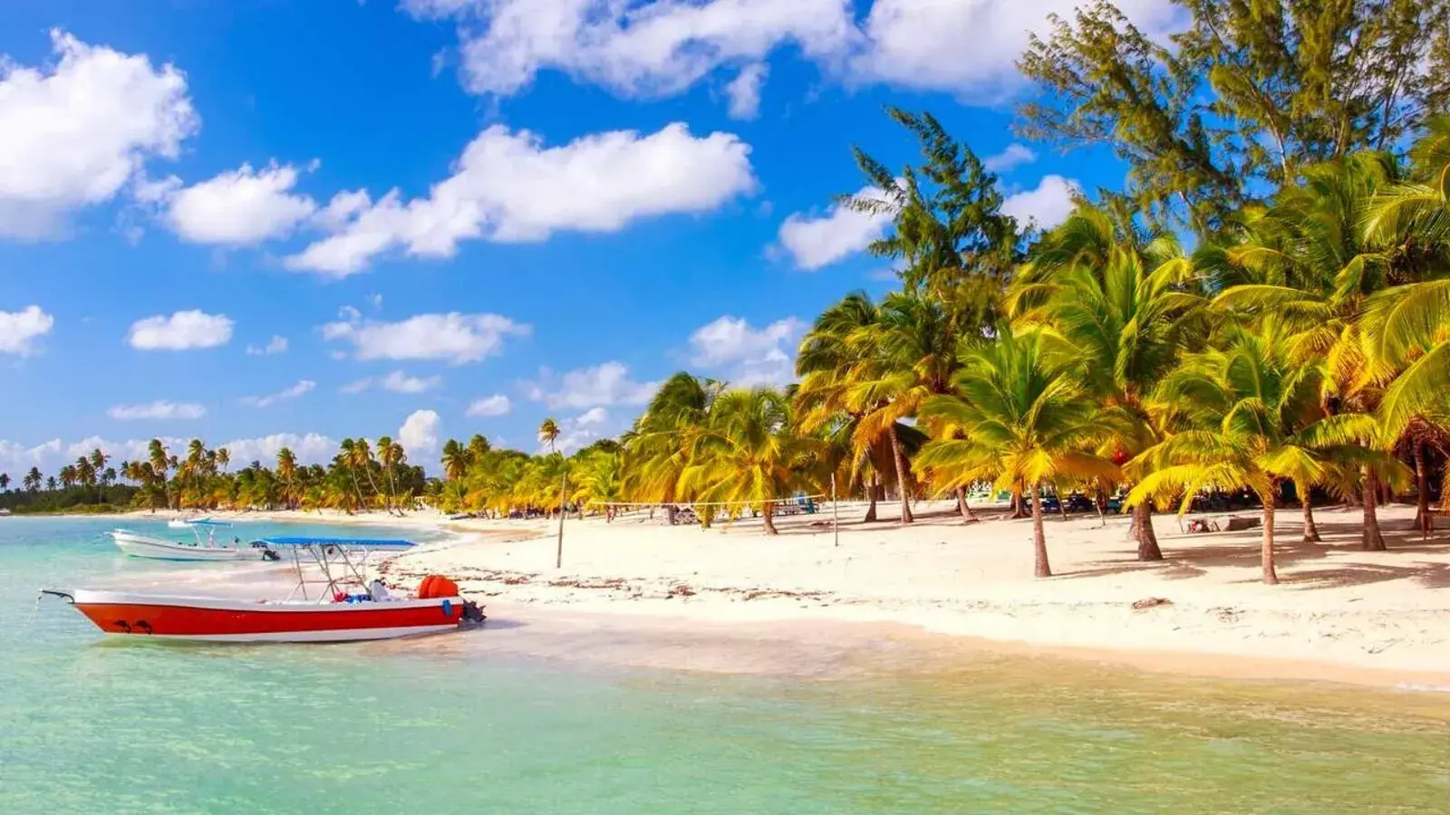 explora con laura, turismo, pasadias, transporte en ibagué, colombia