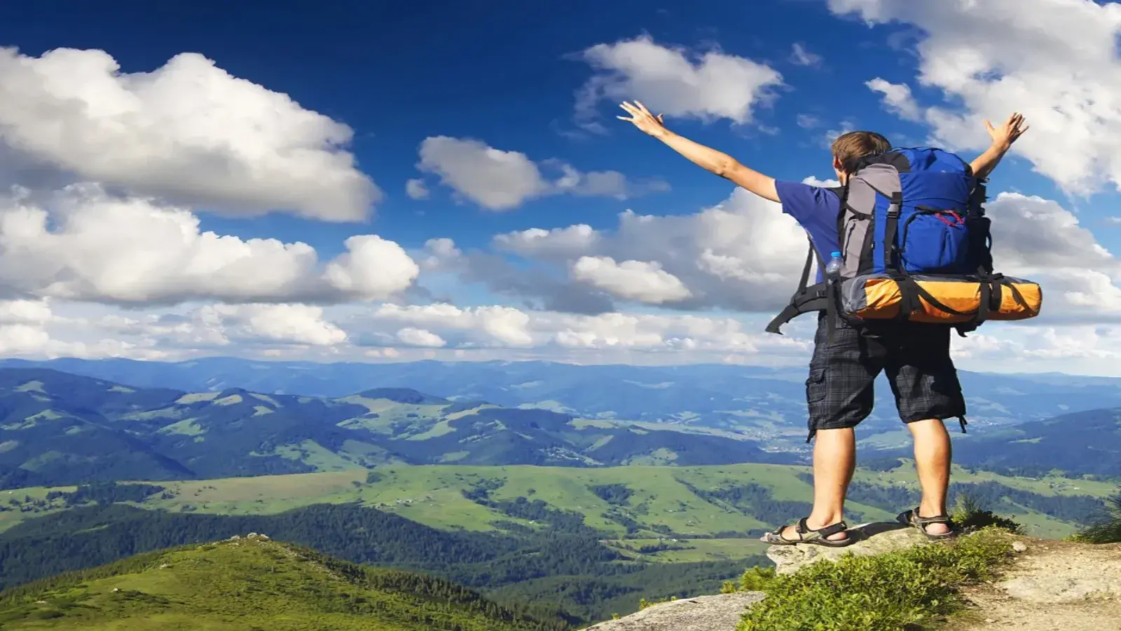 testimonio check - in